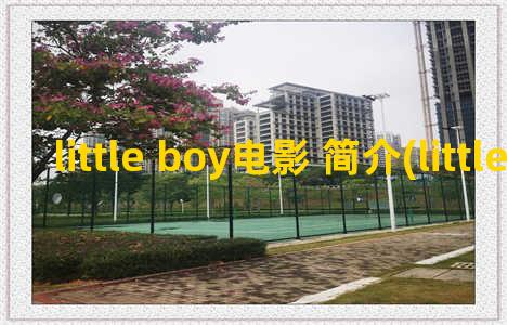little boy电影 简介(little boy影评)